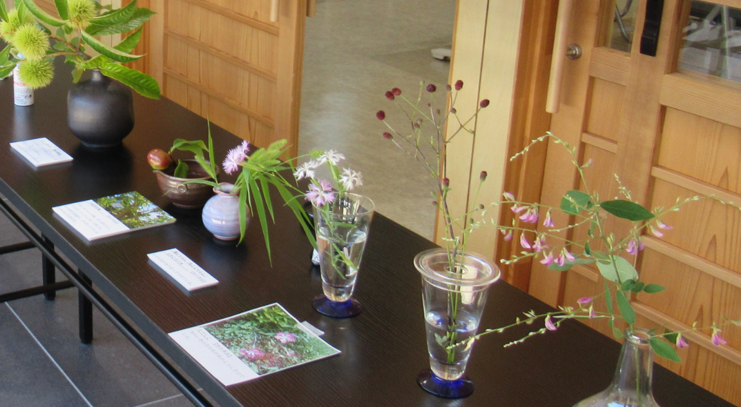 黒いテーブルに、様々な花瓶に生けられた草花が、植物の説明と共に並んでいる写真