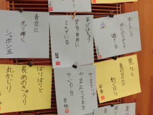 クリップで木枠に留められて展示された、水色や黄色の四角い紙に書かれた俳句作品が複数並んでいる写真