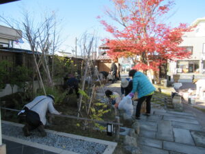 赤い葉をつけた木が中央に配置された石畳の庭園で、複数の人がしゃがんで植栽の手入れや清掃作業に取り組む様子を写した写真