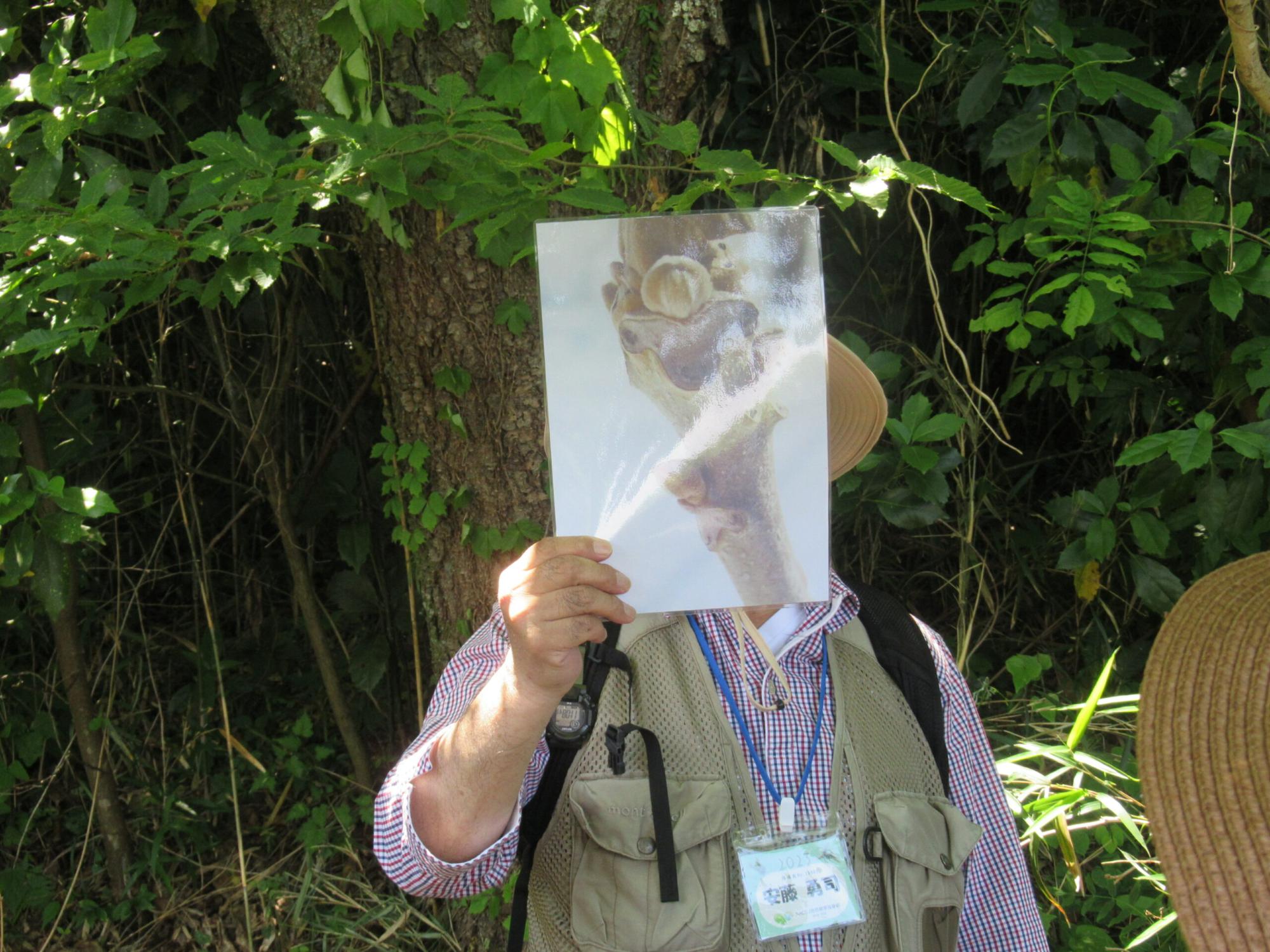 緑豊かな森の中で、ベストを着用した男性が、植物の芽や枝の細部を拡大した解説用のイラストを顔の前に掲げ、周囲の参加者に向けて視覚的に説明を行っている写真