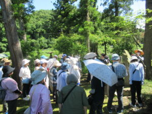 木漏れ日の差す緑豊かな林の中に建つ句碑の前に多くの人々が帽子や日傘を手に集まり説明を聞いている写真