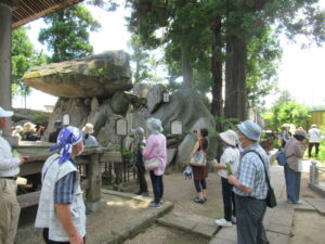 大きな杉の木の前に巨大な岩があり、多くの人々が案内板を確かめながら見学をしている写真