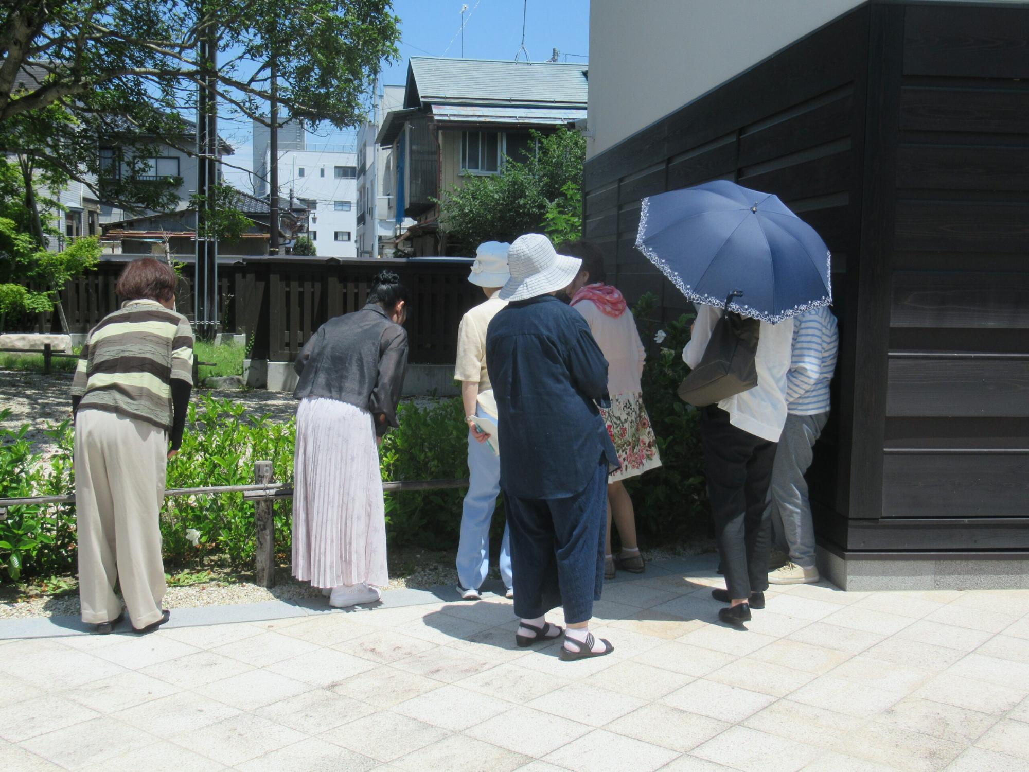 晴天の下、建物の黒い壁際に植えられた花を、数名の女性たちが興味深く覗き込んだり観察したりしている写真