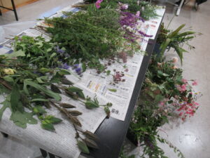 新聞紙が敷かれた長いテーブルの上に、紫色の小花や青々とした葉を持つ枝もの、ピンクの花など、多様な種類の植物や花が並べられている写真