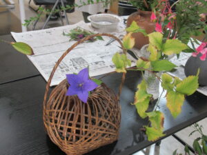 黒い木目調のテーブルに置かれた丸みのある竹編みの籠に、鮮やかな紫色のキキョウが一輪生けられ、傍らには黄色く色づき始めた葉を持つ枝が優雅に伸びている様子を至近距離から捉えた写真