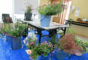 青いシートを敷いた床に多様な草花を入れた複数のバケツが並び、中央に置かれたテーブルの上にも草花が入った2つのバケツが置かれている様子の写真