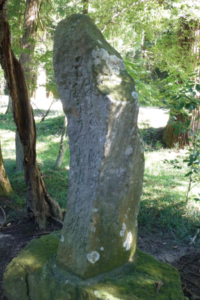 木漏れ日の差す林の中で苔むした縦長の石碑が静かに佇み風雨で柔らかく風化した刻字が淡く浮かぶ写真