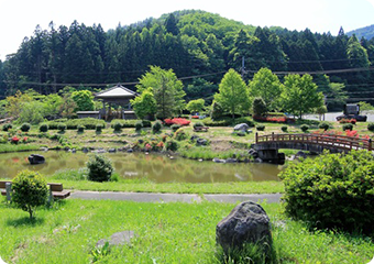 池と木橋があり、新緑とツツジが美しい晴天の公園